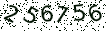 check_image